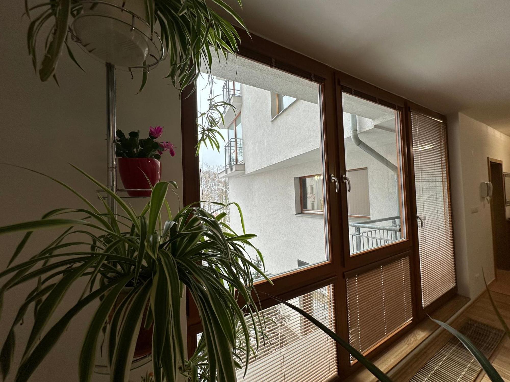 Apartman Na Vyhlidce Lägenhet Karlsbad Exteriör bild